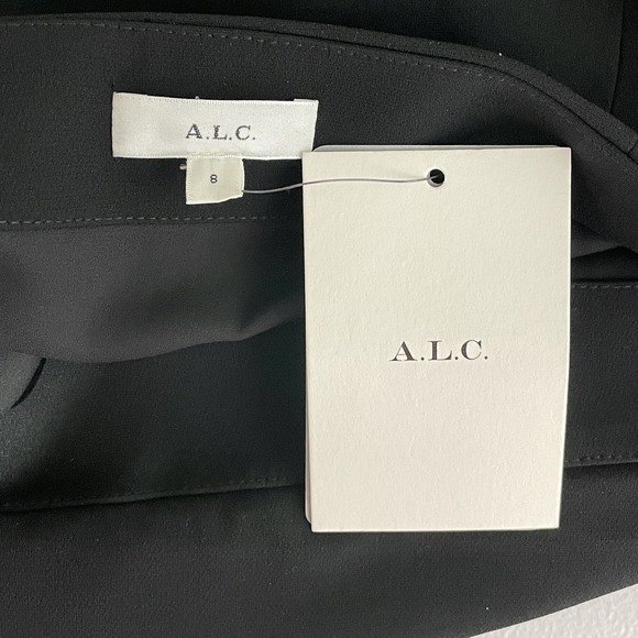 ALC Willa Minimalist Semi Sheer Maxi Skirt Womens 8 Pleated Edgy Designer Chic - Picture 9 of 12